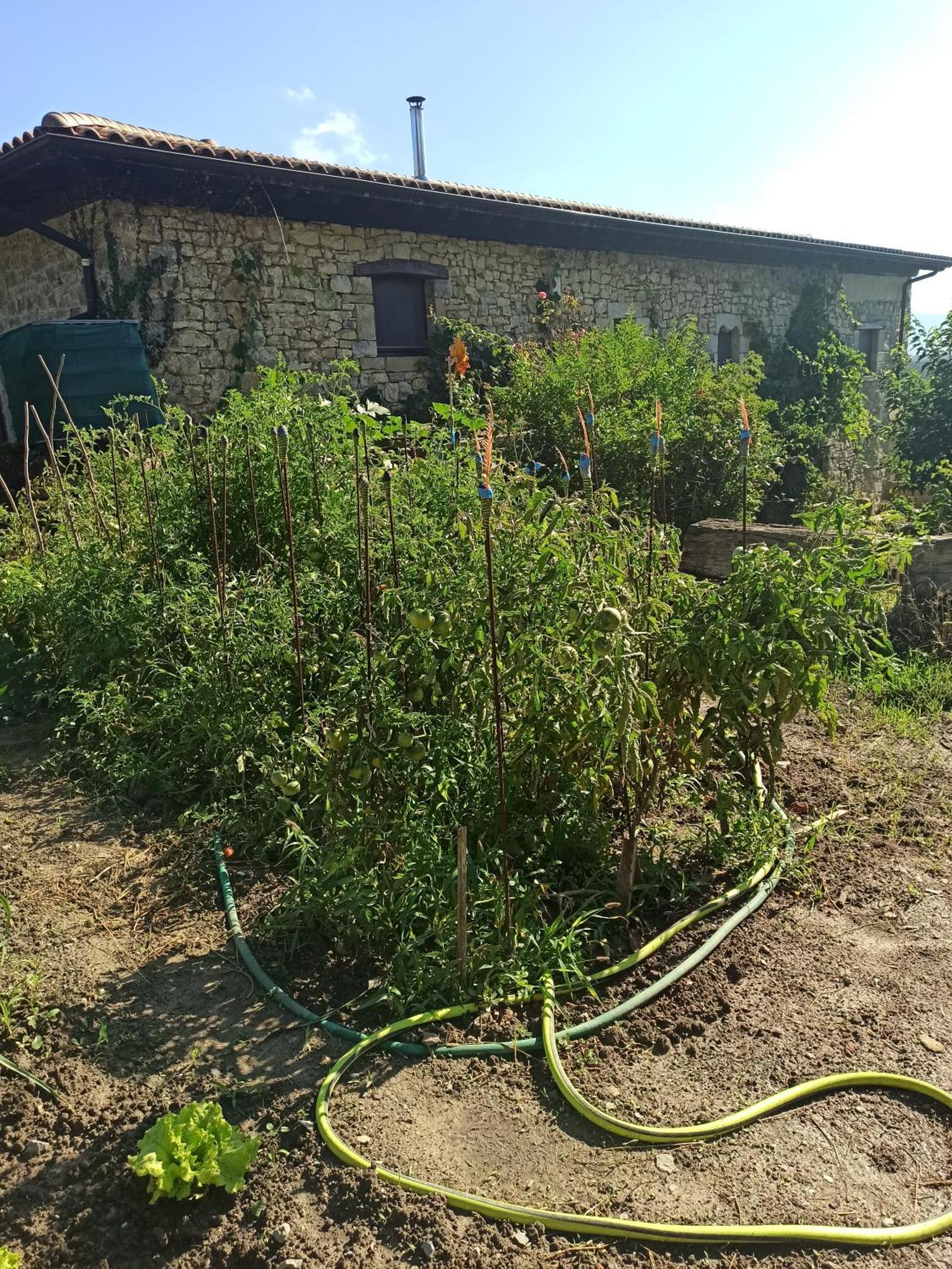 Casa Rural Ttipiaenea Landetxea Ariz  Zewnętrze zdjęcie