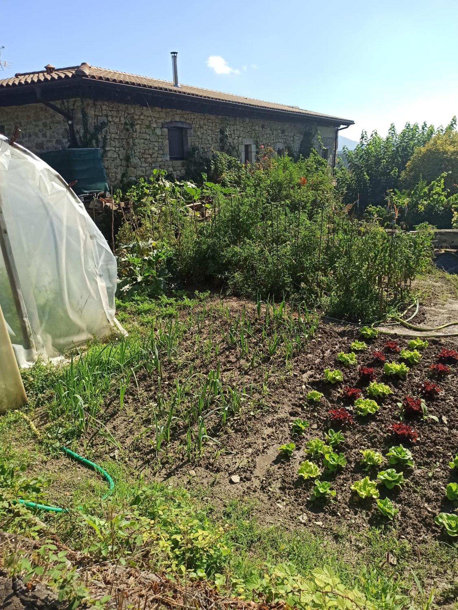 Casa Rural Ttipiaenea Landetxea Ariz  Zewnętrze zdjęcie